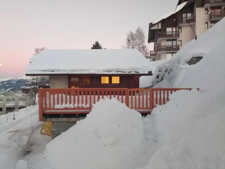 Chalet La Plagne Montalbert Pied Des Pistes France